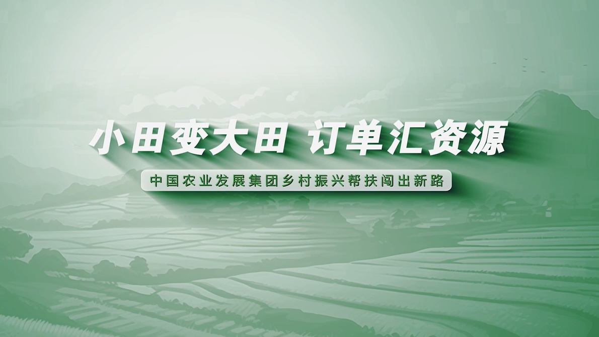小田变大田  订单汇资源 中国农业发展集团助力乡村产业振兴闯新路